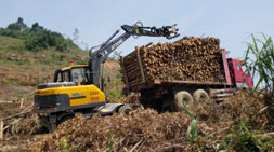 廣西廣東地區(qū)寶鼎抓木機(jī)市場(chǎng)占有率持續(xù)攀升
