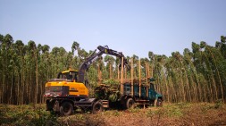 寶鼎抓木機(jī)點(diǎn)綴夕陽(yáng)下的湛江