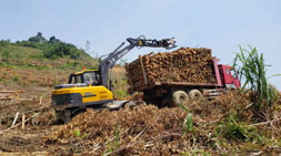 寶鼎95輪式抓木機(jī)云內(nèi)款市場(chǎng)需求火熱