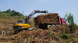 抓木頭抓廢鐵抓物料寶鼎多功能輪式抓木機(jī)