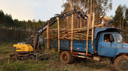 第五代寶鼎95輪式抓木機(jī)實(shí)力威震八方