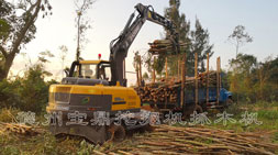 價(jià)值捍衛(wèi)價(jià)格之寶鼎95抓木機(jī)