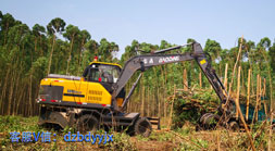 寶鼎抓木機(jī)廠家95輪式抓木機(jī)車型