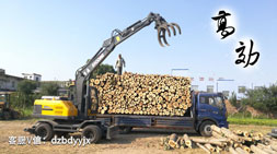 強(qiáng)烈推薦之寶鼎95抓木機(jī)