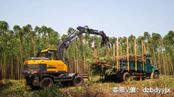 寶鼎95抓木機:外觀霸氣,性能卓越