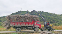 廣西,寶鼎抓木機甘蔗抓機與你一起奮斗