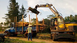 不負韶華之寶鼎抓木機廠家巔峰之作