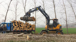 2019閃耀下的寶鼎輪式挖掘機抓木機